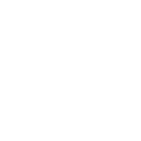 Professional Roofing LLC