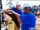 Pinnacle Home Improvements