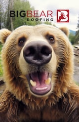 Big Bear Roofing