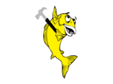 The Big Fish Contracting Co