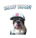 Pisgah Roofing & Restoration LLC